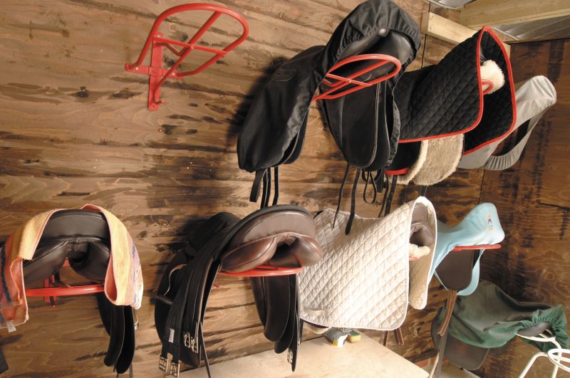 Decorative Horse Tack